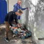 Изучение конструктивных особенностей и принципов функционирования бензопил